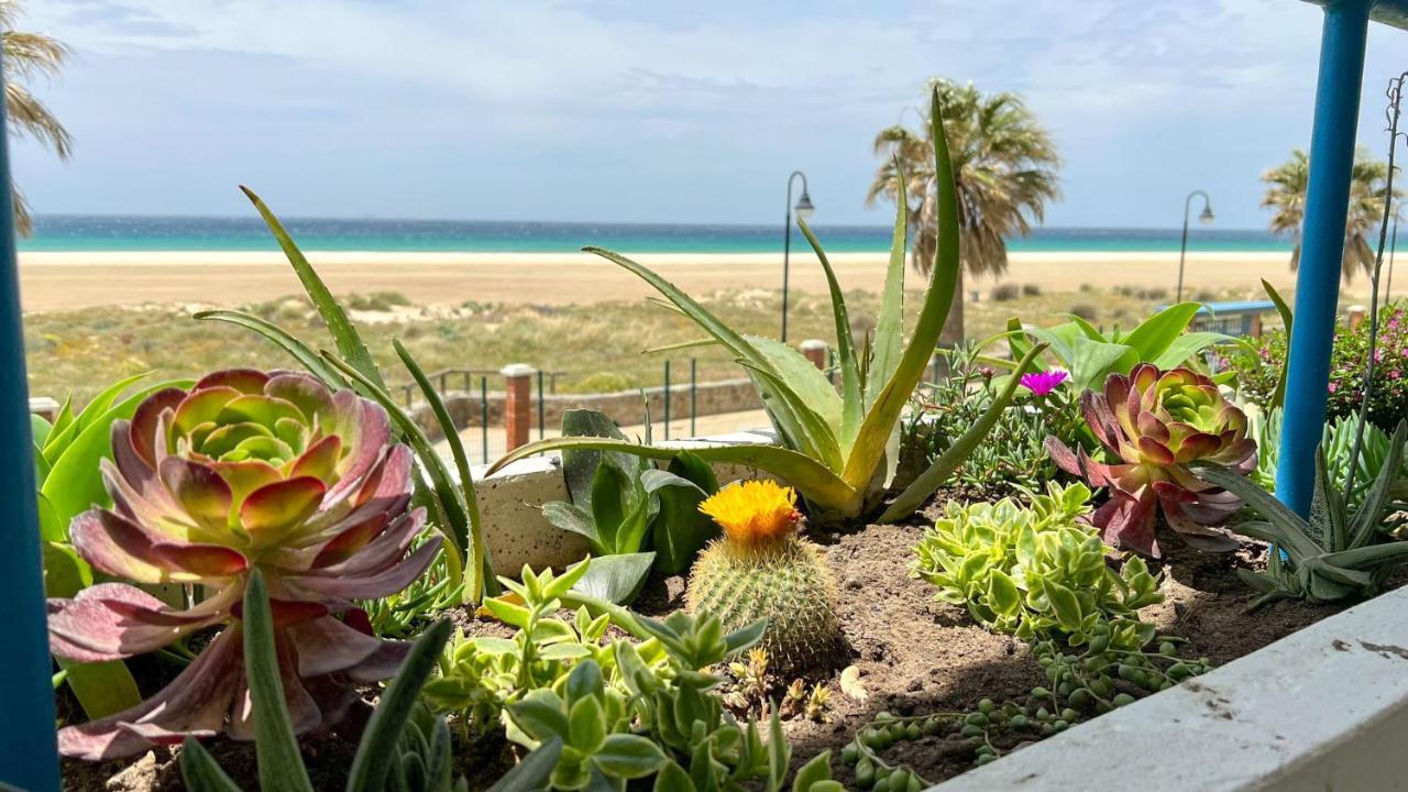 Tarifa Cozy House - Beachfront, Stylish Deco Exterior foto